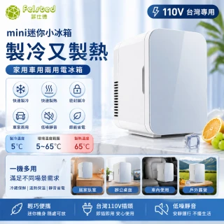 【Felsted 菲仕德】車載小冰箱 冷藏保冰箱 小型儲酒櫃 迷你小冰箱 美妝小冰箱 宿舍/辦公室/車載/家用小冰箱