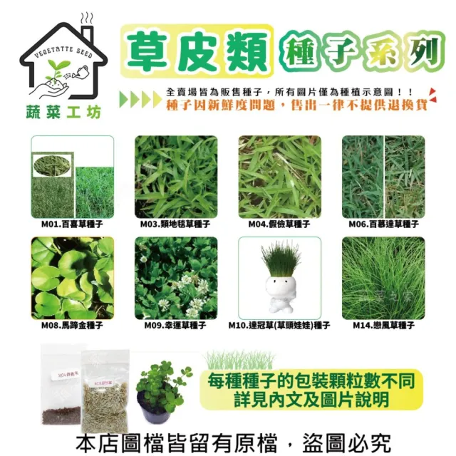 【蔬菜工坊】草皮類種子系列-各包裝數量詳見內文及圖片(百喜草 類地毯草 假儉草 百慕達草)