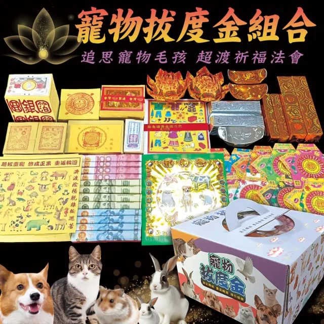 【2026】紙紮推薦ptt》10款高評價人氣品牌排行榜 | BALIMAN情報局