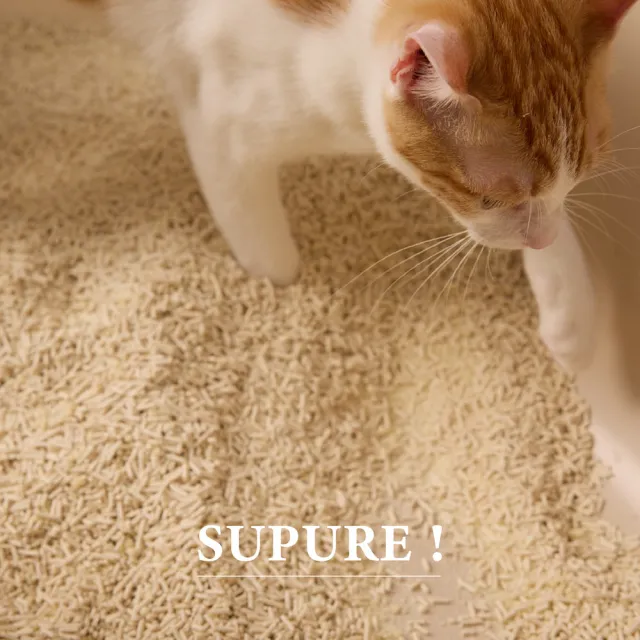 【Meow Servant 喵皇奴】SUPURE！薯殼以不黏木薯砂-純木薯砂12包｜貝殼鈣全天然除臭配方｜超低粉塵技術