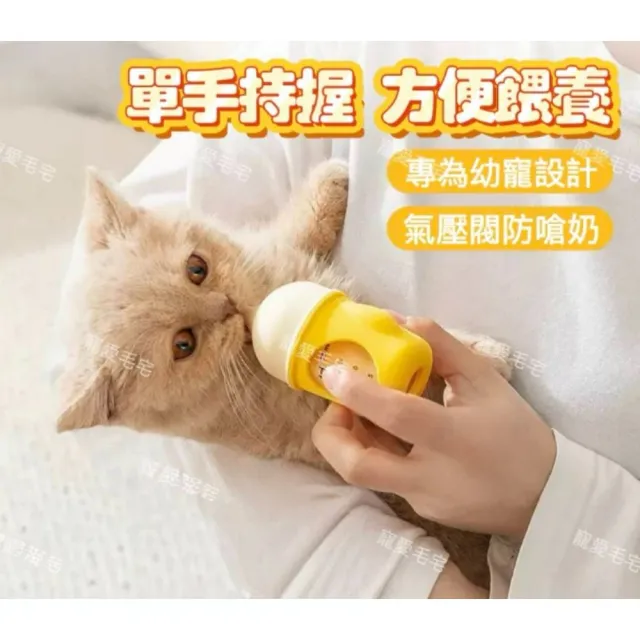 【2026】寵物自動餵食器推薦ptt》10款高評價人氣品牌排行榜 | BALIMAN情報局