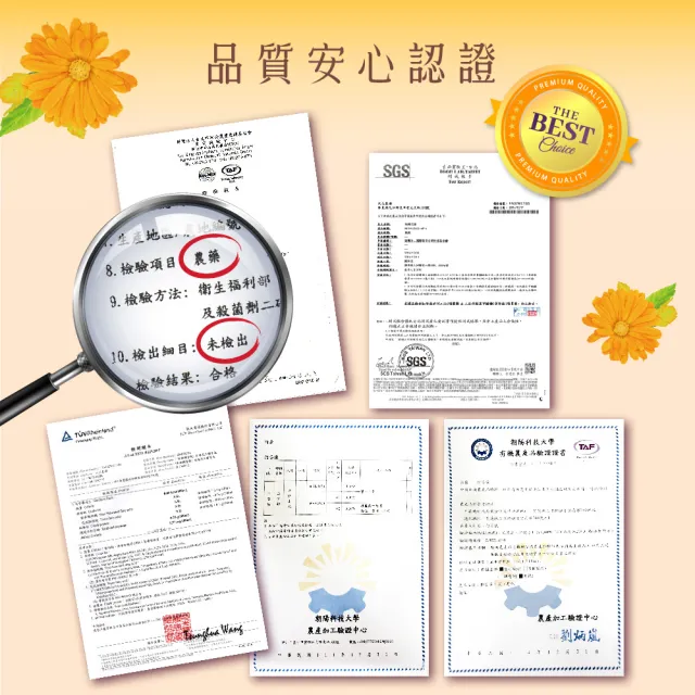 【慢悠仙】阿里山油菊花茶 25g X3袋 (花瓣/台灣/每袋可沖40壺/SGS無農藥/無咖啡因無糖/花草茶養生茶)