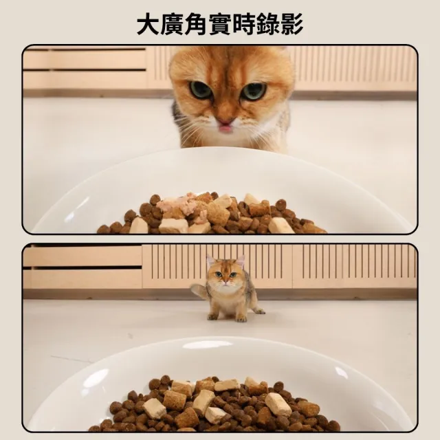 【meoof】蛋捲餵食器4L 視訊版獨享碗(寵物餵食器 貓咪餵食器 自動餵食器 餵食機 鹼性電池供電 無線使用)