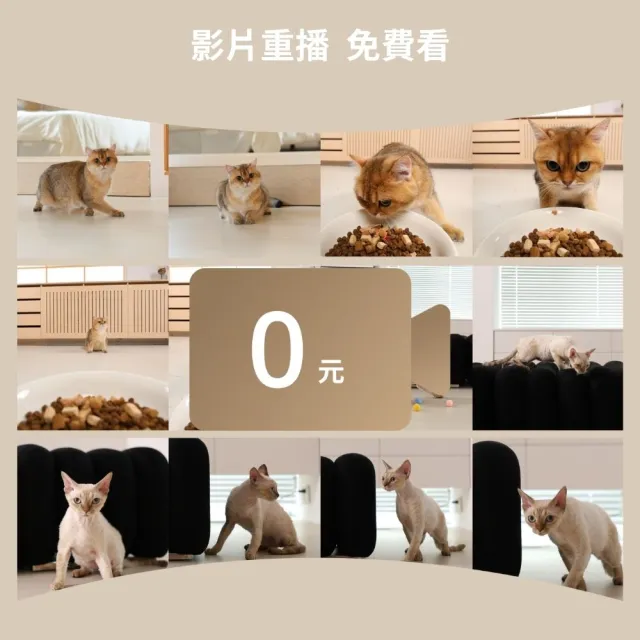 【meoof】蛋捲餵食器4L 視訊版獨享碗(寵物餵食器 貓咪餵食器 自動餵食器 餵食機 鹼性電池供電 無線使用)