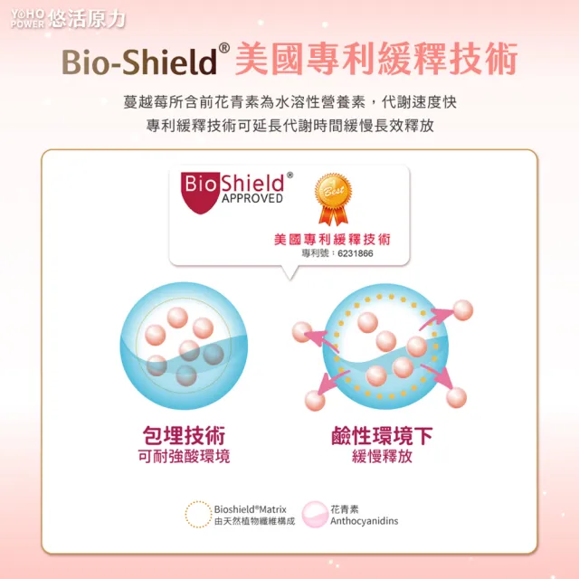 【悠活原力】高濃縮蔓越莓私密益生菌植物膠囊x3(30粒/盒 共90粒 蔓越莓 蔓越莓益生菌)
