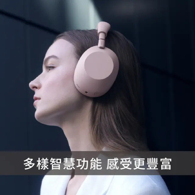 【SONY 索尼】WH-1000XM6 無線降噪耳機(公司貨 保固12+6個月)