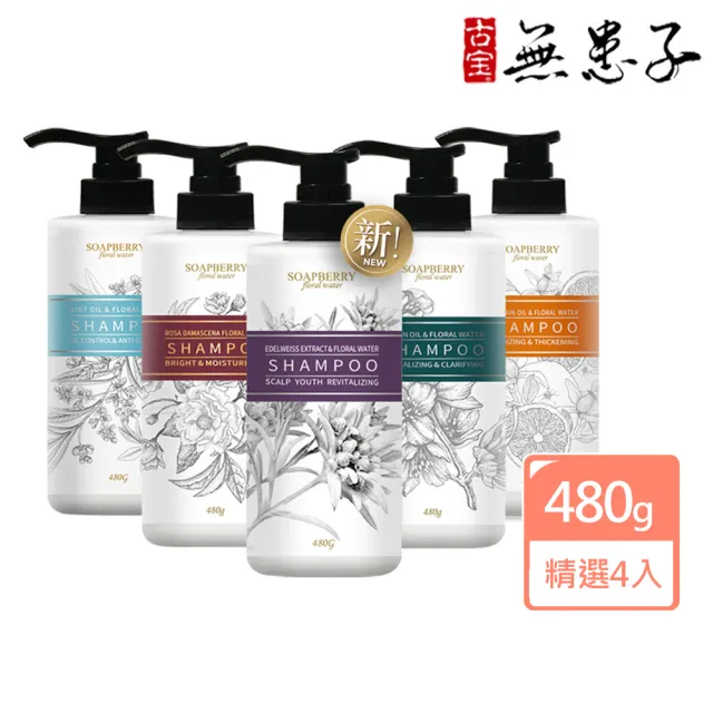【古寶無患子】4入組-純露洗髮精480g(頭皮護理/控油/頭皮潔淨/養護髮/護色/舒緩乾癢)