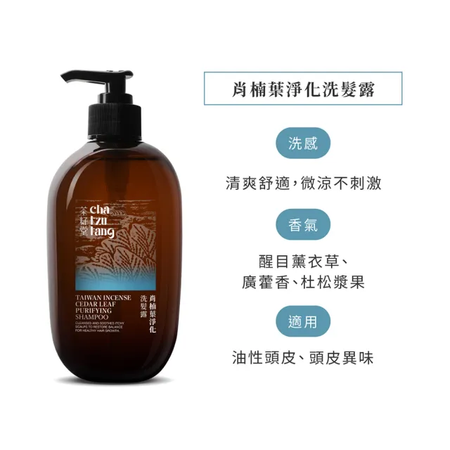 【茶籽堂】肖楠葉淨化洗髮露500mLx2入(油性頭皮/頭皮異味/淨化毛孔)