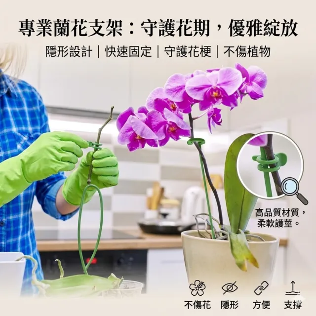 【POKO】植物支撐桿 蘭花支撐架 10入(27cm固定架 爬藤 園藝支撐桿 觀葉植物 園藝用品固定架)