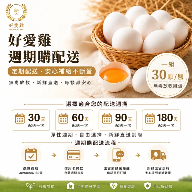 【HAOAICHI 好愛雞】週期購-無毒の放牧蛋 白殼 小家庭單盤 共30顆(30顆/盤) 非籠飼 無藥殘 無毒飼料 雞蛋