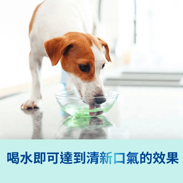 【Virbac 維克】VOHC認證—C.E.T. Aquadent 益口清（寵物潔牙液/口氣清新/犬貓適用）