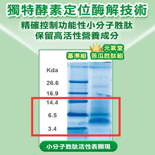 【元氣堂】醣的對策胜肽苦瓜膠囊 30粒/盒(穩定平衡 維持健康)