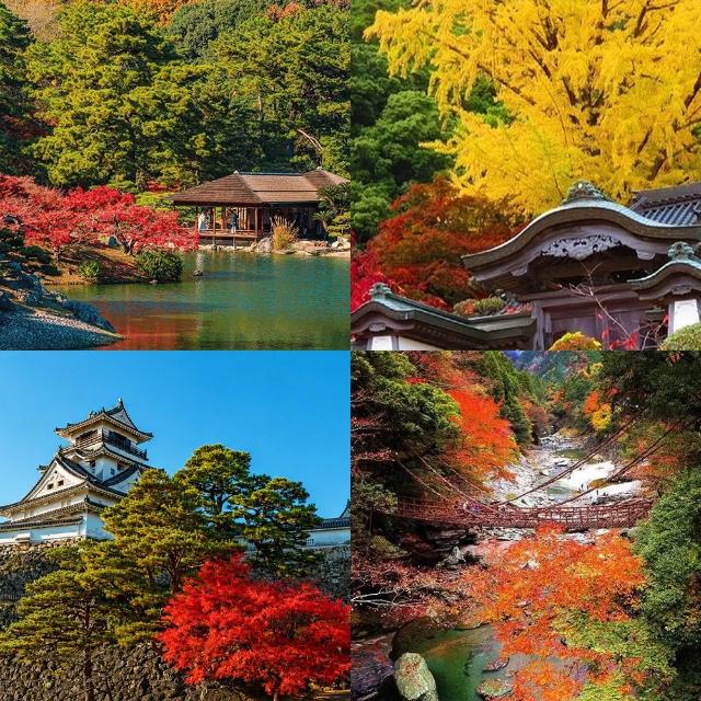 【PlayEZ 美好假期】四國楓彩物語．大步危遊船葛藤橋．金刀比羅宮溫泉4日