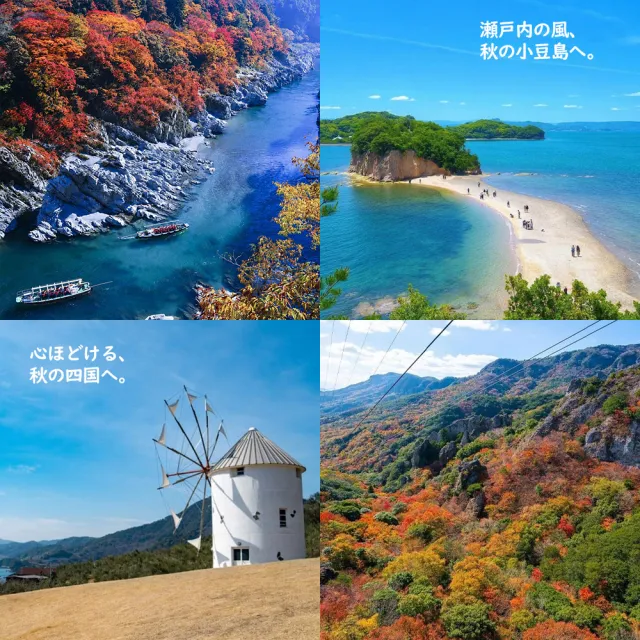 | BALIMAN情報局 【2026】烏龍麵推薦|10款高評價人氣品牌排行榜 | BALIMAN情報局