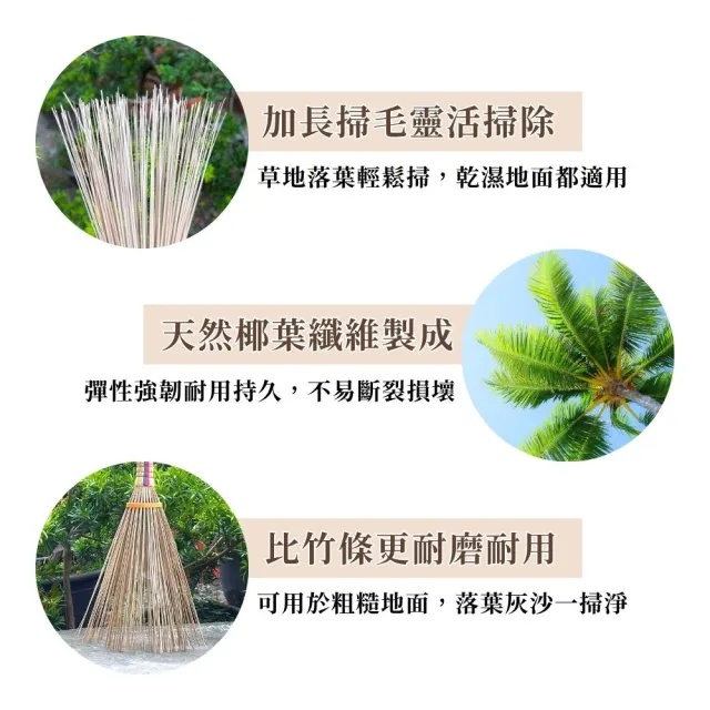 彈力開元掃6入