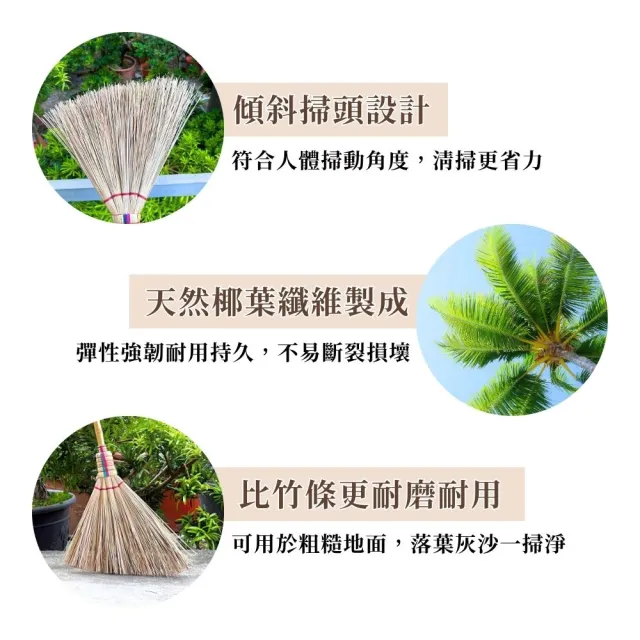 編織爪哇掃6入