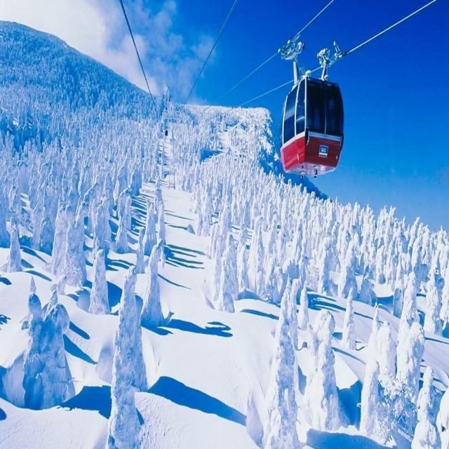 【喜鴻假期】★高雄出發．超值藏王樹冰６日★銀山溫泉、玩雪樂、草莓吃到飽、溫泉饗宴