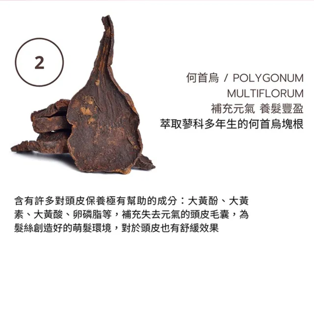【Moonlight】3%進化版健髮豐潤洗髮精 400mL x3(脆弱落髮 易斷髮質適用)