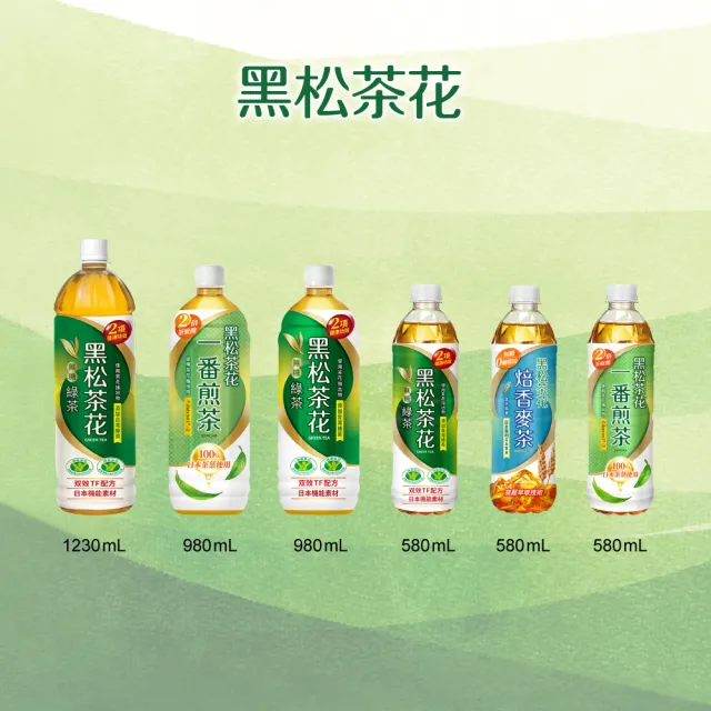 【黑松】黑松茶花一番煎茶580mlx24入/箱