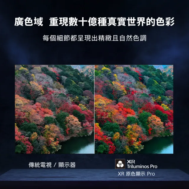 【SONY 索尼】BRAVIA 8 77型 XR OLED 4K HDR Google TV 顯示器(Y-77XR80)