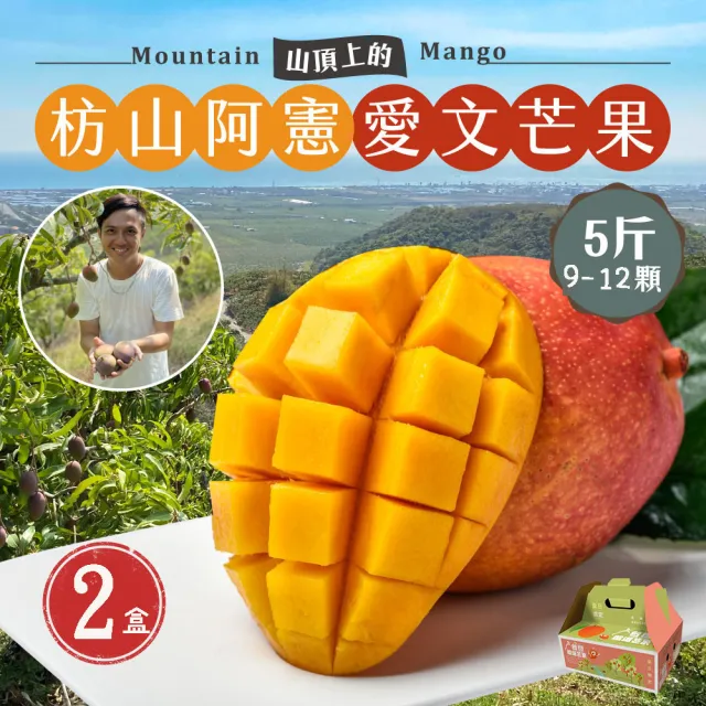 【初品果】屏東青農楊忠憲-枋山阿憲愛文芒果禮盒5斤9-12顆x2盒(中小果_山頂上的愛文芒果_禮盒)