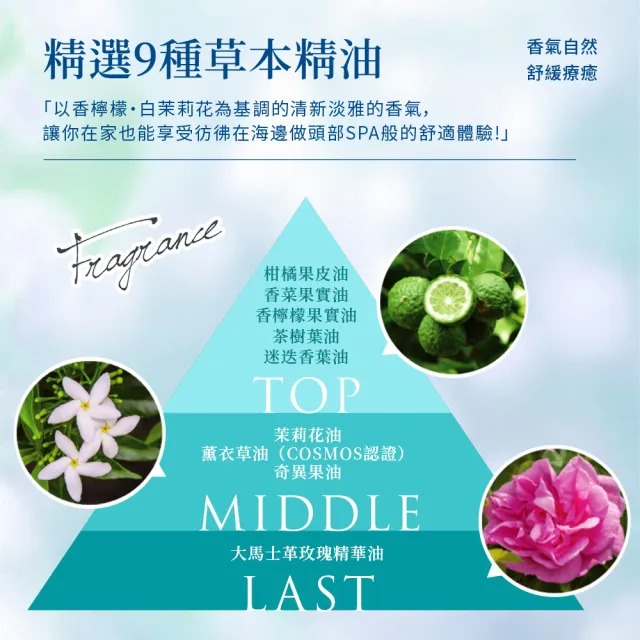 【LpLp】昆布精華護髮染髮霜170g 2入組 (黑檀黑/胡桃棕) 白髮染髮/染髮同時護髮