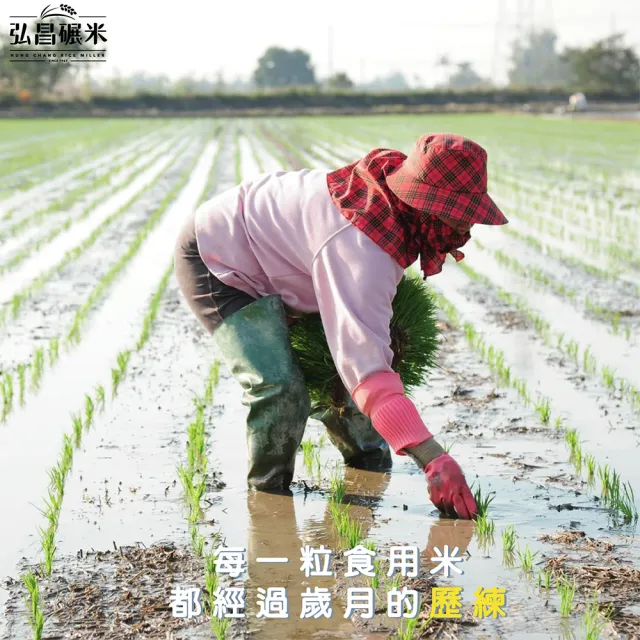 【弘昌碾米】產銷履歷 台灣越光米 台南16號-1kg(CNS一等米)