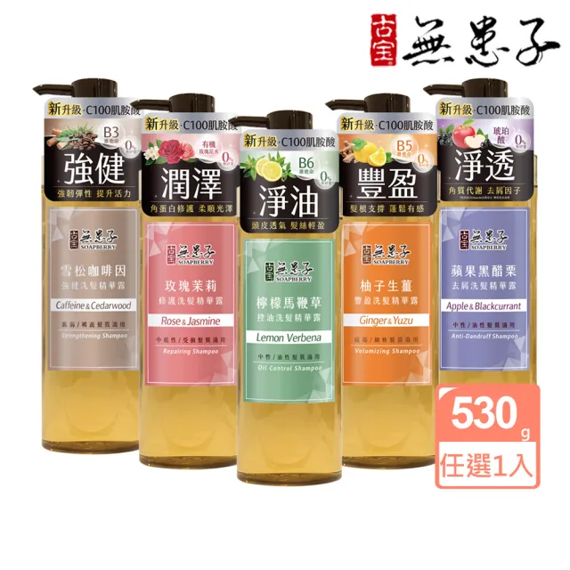 【古寶無患子】成分升級新上市-無矽靈洗髮精露530g