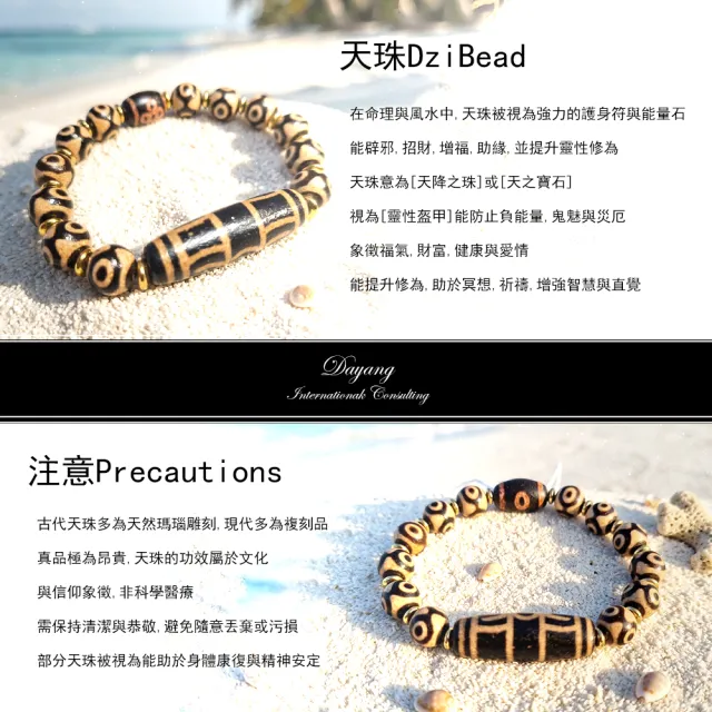 【林海陽】強力招財虎紋三眼天珠手鍊