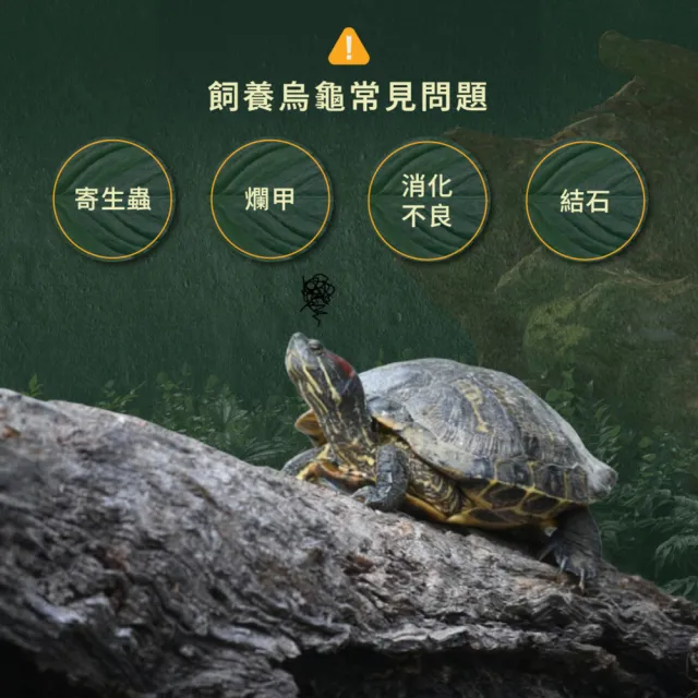 【WeWant 威旺】烏龜用益生菌+益生元-超能7菌配方 50g/罐(烏龜保健/烏龜益生菌/適口性佳)