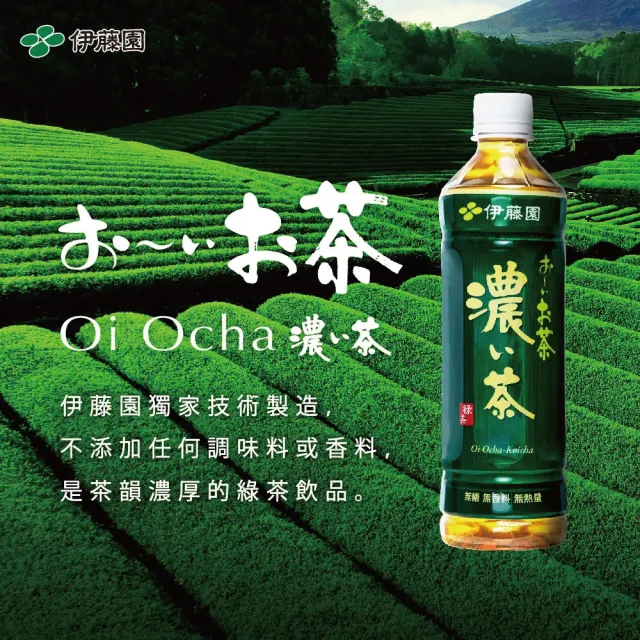 【伊藤園】Oi Ocha 濃味綠茶530mlx2箱(共48入_新舊包裝隨機出貨)
