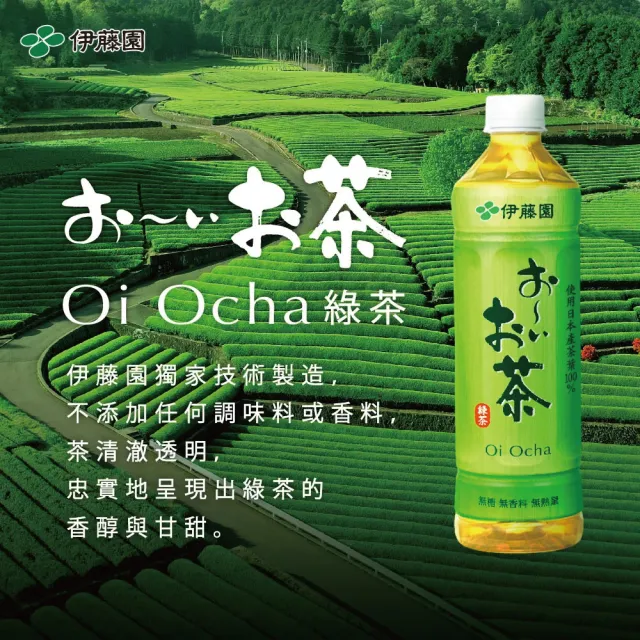【伊藤園】Oi Ocha 綠茶530mlx2箱(共48入_大谷翔平推薦)