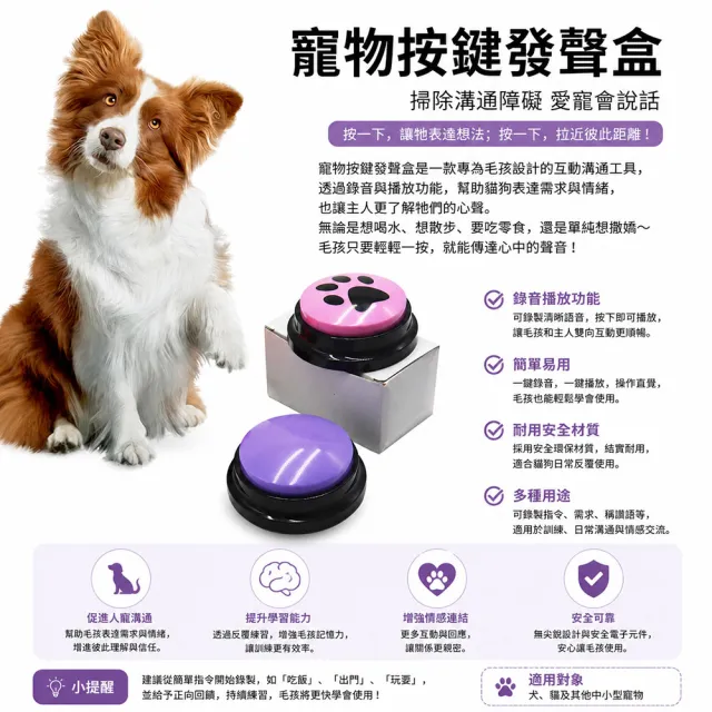 【2026】狗狗玩具推薦ptt》10款高評價人氣品牌排行榜 | BALIMAN情報局