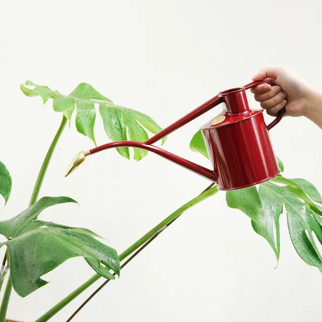 【CNFlower 西恩】HAWS 室內澆水壺1L 6色(園藝/園藝工具/灑水胡)