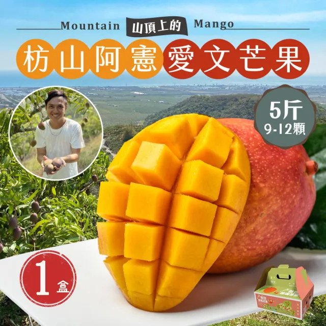 【初品果】屏東青農楊忠憲-枋山阿憲愛文芒果禮盒5斤9-12顆x1盒(中小果_山頂上的愛文芒果_禮盒)