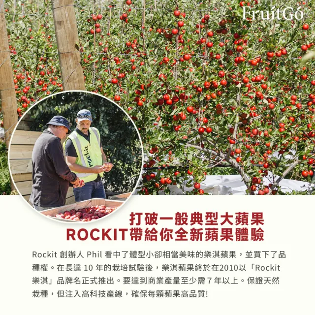 紐西蘭進口樂淇蘋果頂規組