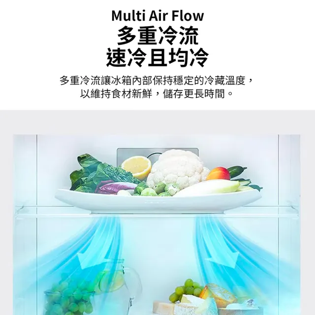 【LG 樂金】家電快配395公升智慧變頻右開雙門冰箱(GN-HL392BSN)