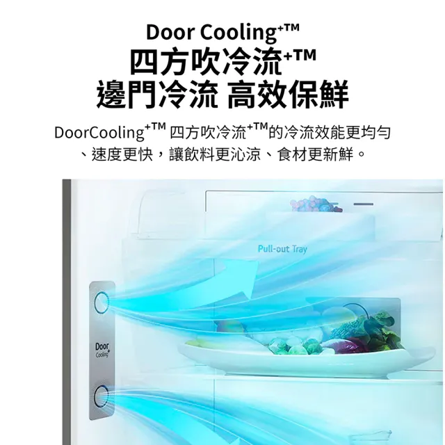 【LG 樂金】家電快配395公升智慧變頻右開雙門冰箱(GN-HL392BSN)