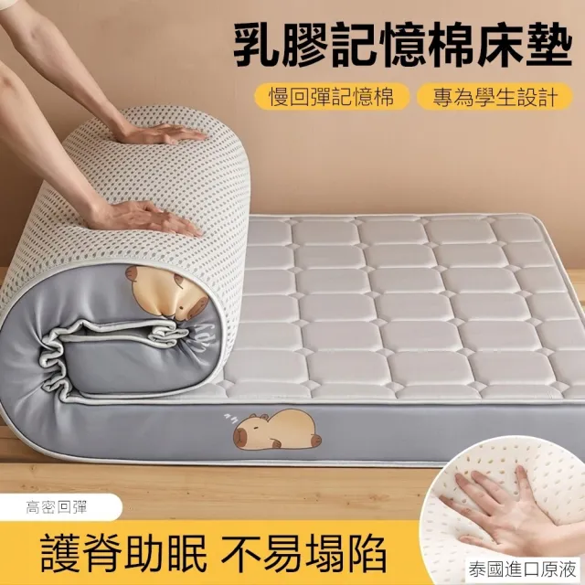 【2026】單人乳膠床墊推薦ptt》10款高評價人氣品牌排行榜 | BALIMAN情報局
