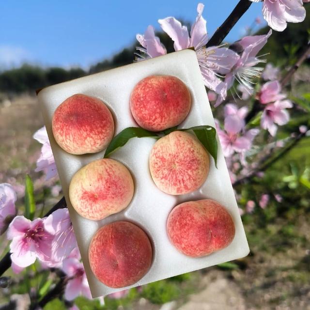 【初品果】拉拉山水蜜桃禮盒6顆x1盒(共6顆_每盒1200g_產地直送_季節限定_企業採購_禮盒)