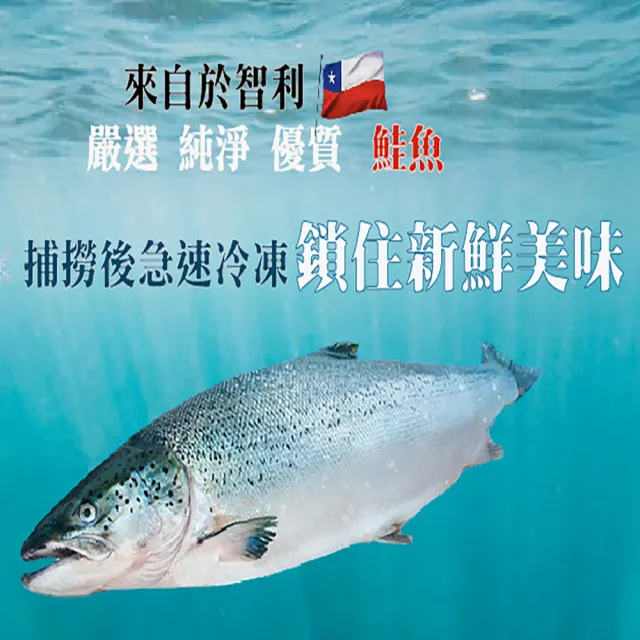 【海之醇】智利鮭魚輪切8片組(300g±10%/片)