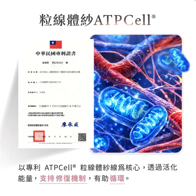 【PP 石墨烯】石墨烯粒線修復內衣1件