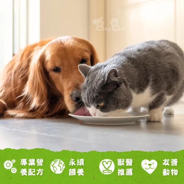 【Benevo 倍樂福】英國素食認證 犬貓主食罐頭 354G*2罐(素食狗罐 素食貓罐 純素 班尼佛)