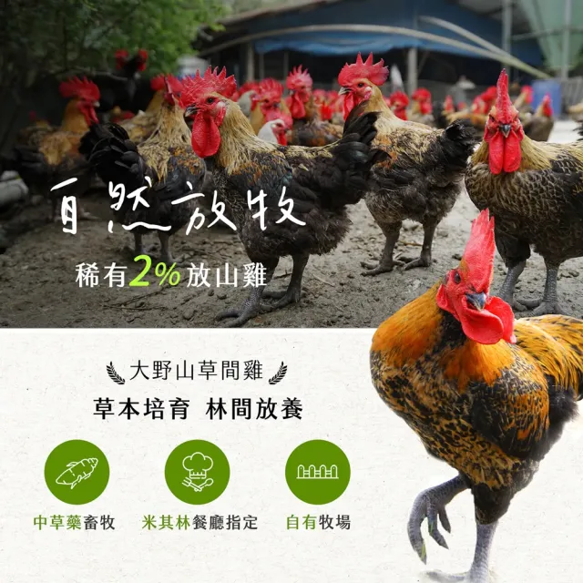 【大野山牧場】山野豚 龍骨排(600g*3包 - 高雄在地飼養)