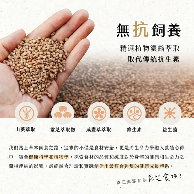 【大野山牧場】山野豚 龍骨排(600g*3包 - 高雄在地飼養)