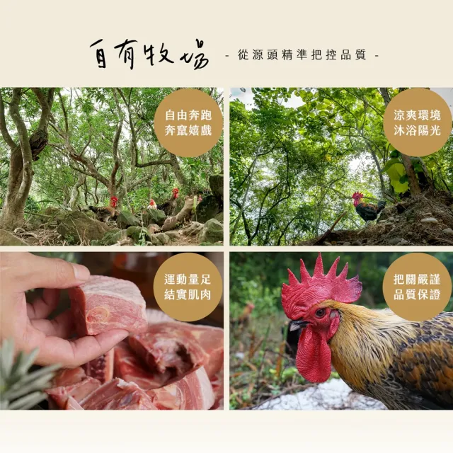 【大野山牧場】山野豚 低脂絞肉(400g*3包 - 高雄在地飼養)