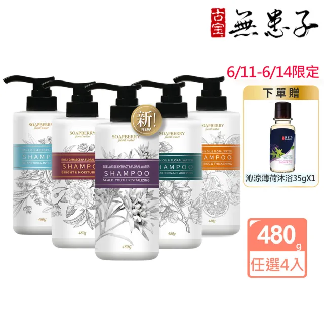 | BALIMAN情報局 【2026】茶樹洗髮精推薦ptt》10款高評價人氣品牌排行榜 | BALIMAN情報局