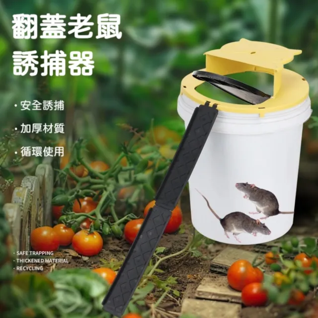 【GSBD】翻蓋捕鼠器 三入組 自動復位捕鼠器 防逃陷阱 老鼠誘捕工具 室內外適用