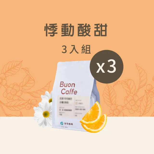 【Buon Caffe 步昂咖啡】接單現烘 淺焙咖啡豆 咖啡粉｜悸動酸甜3入組｜227g x 3包 冰咖啡 冰滴