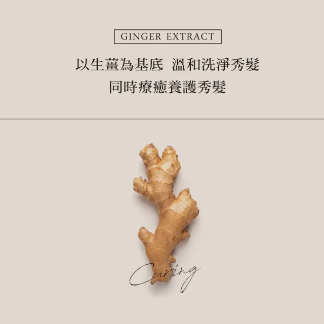 【KAFEN 卡氛】加大版 療癒草本洗髮系列800ml(艾草控油/龍膽護色/芍藥去屑)控油洗髮 頭皮舒緩
